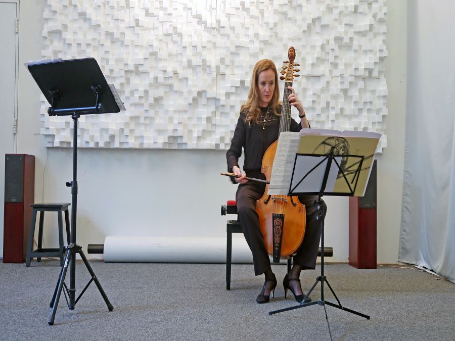 Akustische Behandlung einer Konzert Lokalität, Schweiz