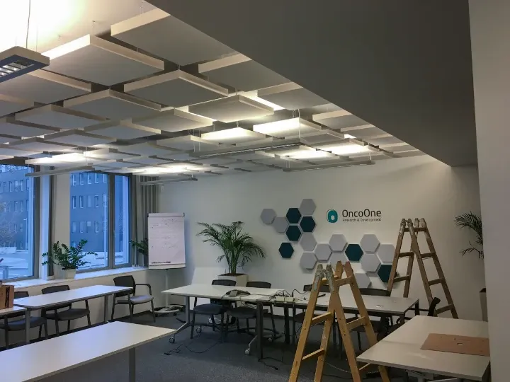 Echoreduzierung im Besprechungsraum und in den Büroräumen bei OncoOne