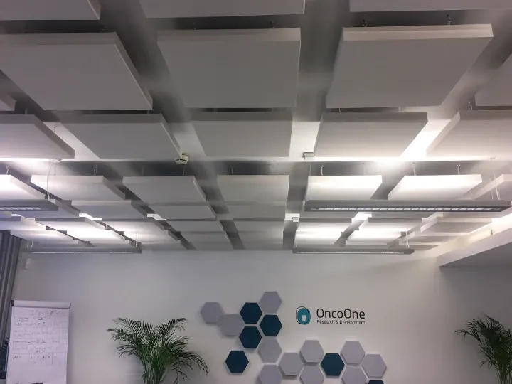 Echoreduzierung im Besprechungsraum und in den Büroräumen bei OncoOne