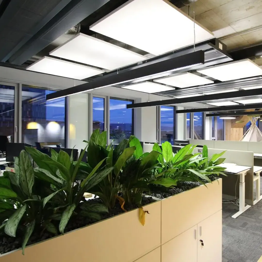 Akustische Behandlung für Sygics 2.000 m² großes Großraumbüro in Bratislava