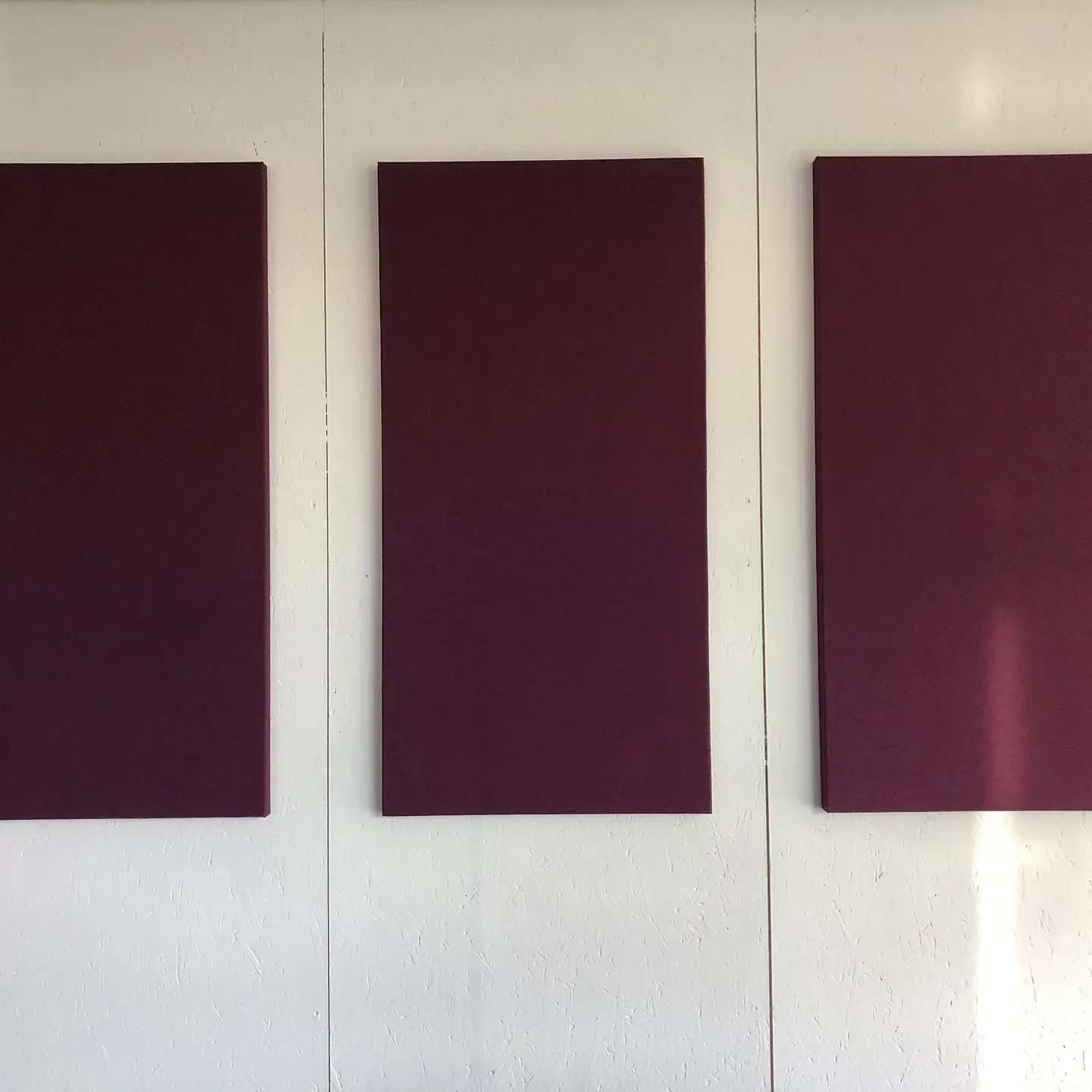 Echo Wall Akustikpaneele in den Büro- und Besprechungsräumen von BE Terna