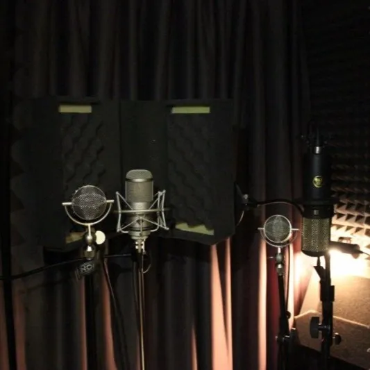 Akustische Behandlung des Avocal Music Studios